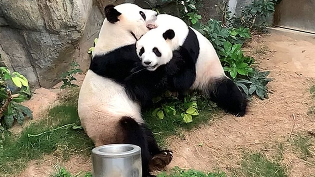 F3448B35-9B5A-4738-AC6F-7914D7DD2036