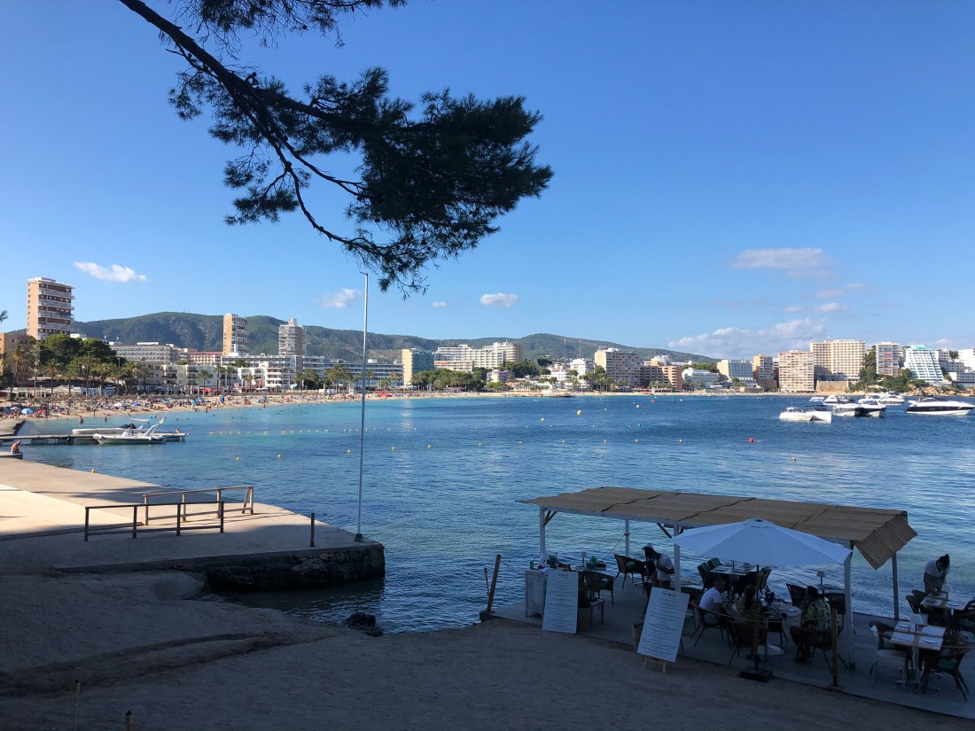 A49901C8-3509-4A0B-9440-8407DA3371E6